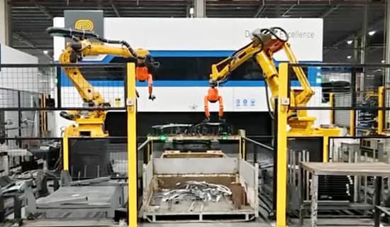 Robotic Arm + Flexible Arm Composite Robot